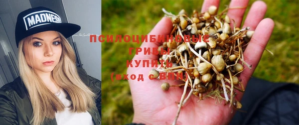 ALPHA-PVP Беломорск