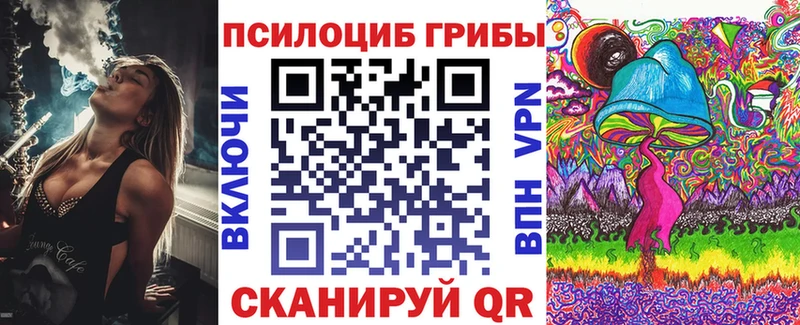 Псилоцибиновые грибы Psilocybine cubensis наркошоп Дигора