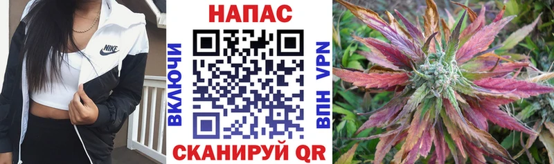 сайты даркнета состав  Дигора  Марихуана THC 21%  наркотики 
